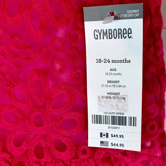 Gymboree Girls Special Occassion Lace Drop Waist Dress Fuchsia Pink NEW - Picture 5 of 13